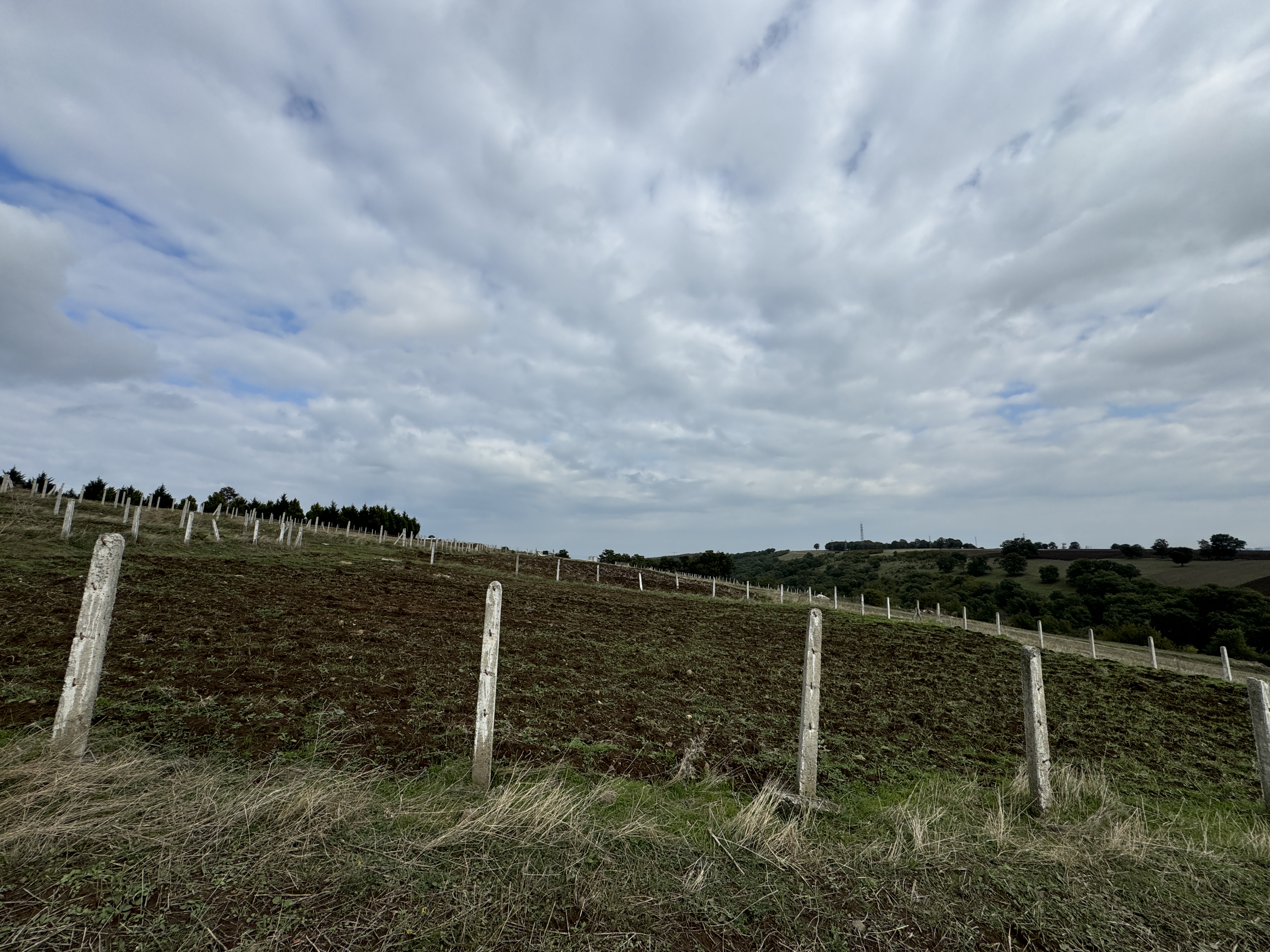 PAMUKLU BULVARINA 250M 5 KATA İMARLI ARSA