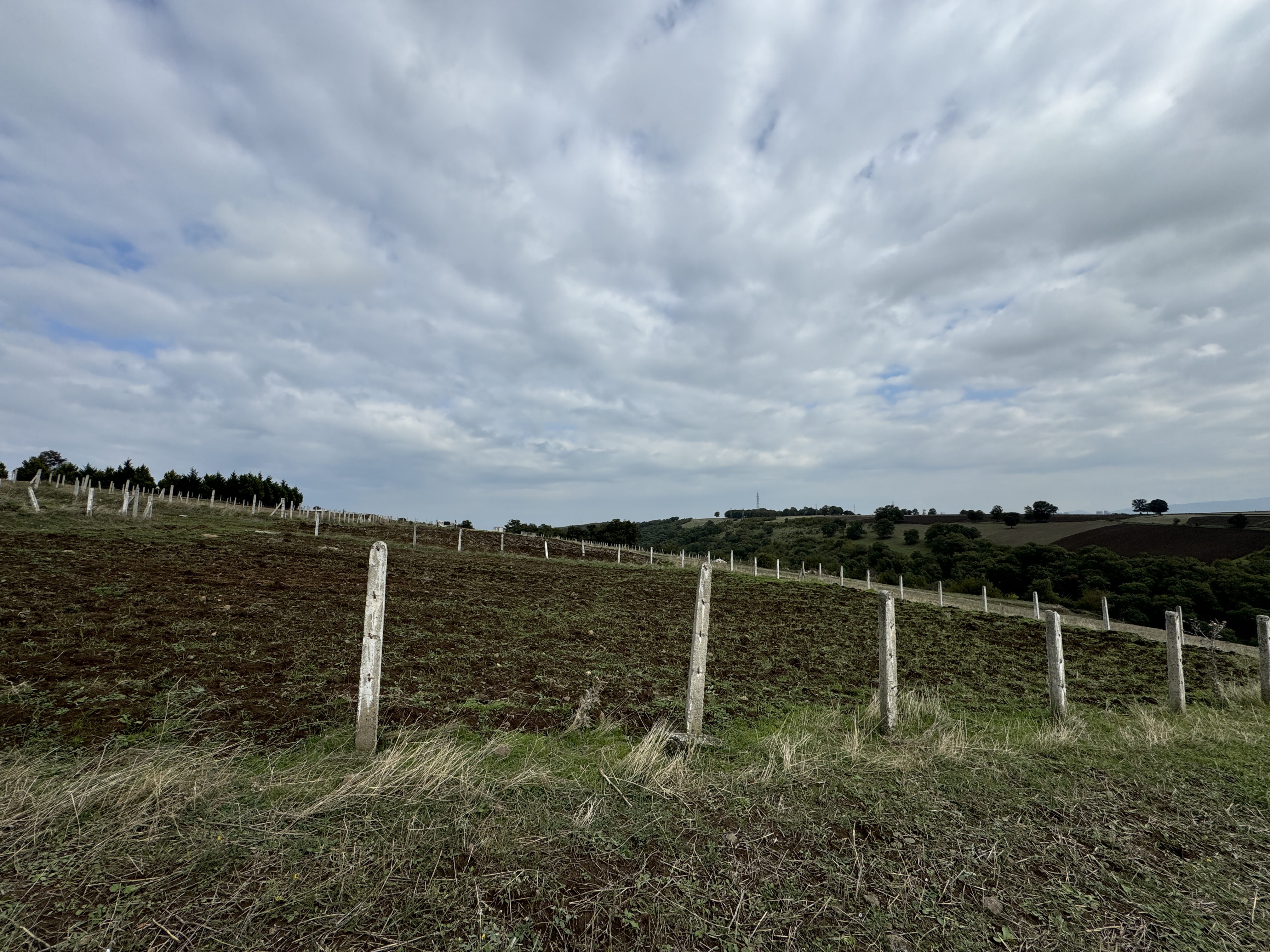 PAMUKLU BULVARINA 250M 5 KATA İMARLI ARSA