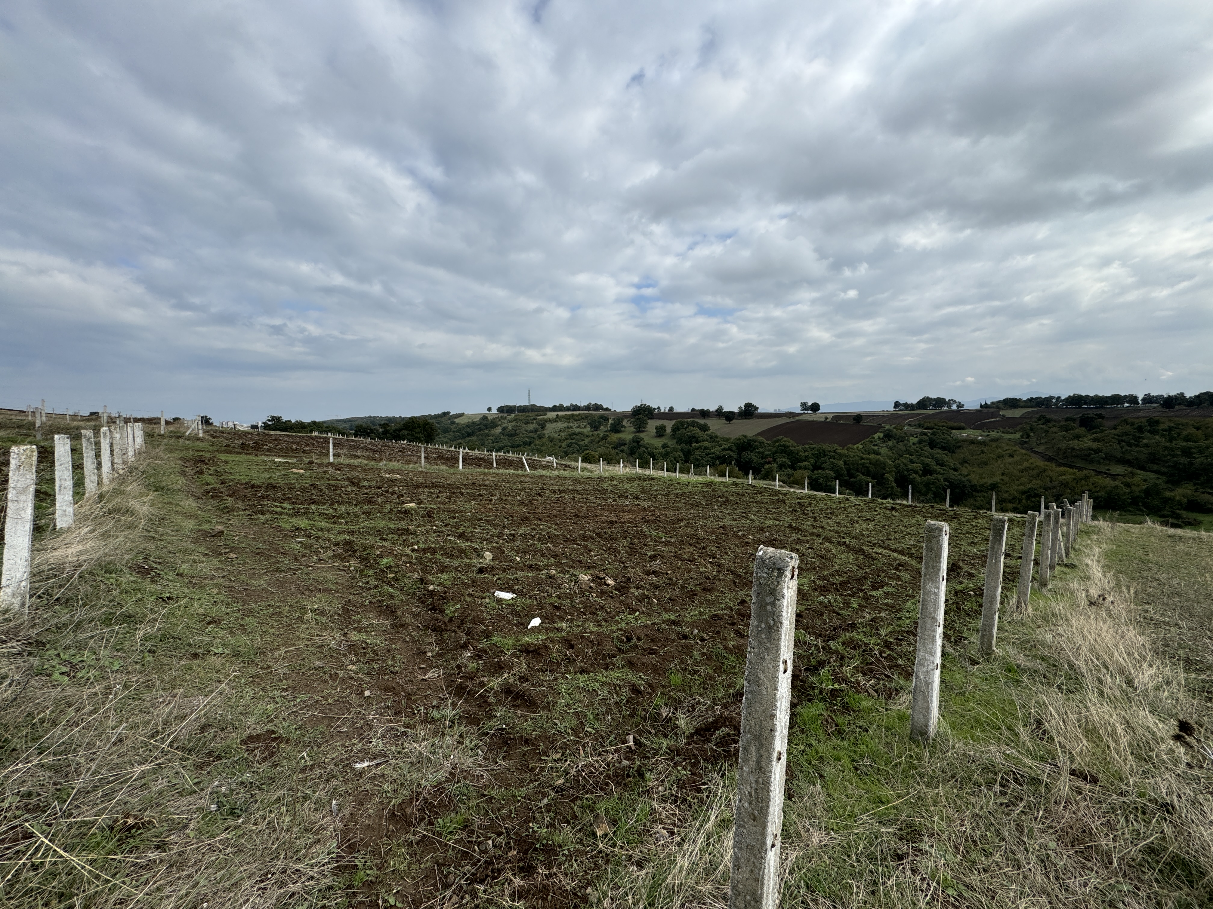 PAMUKLU BULVARINA 250M 5 KATA İMARLI ARSA