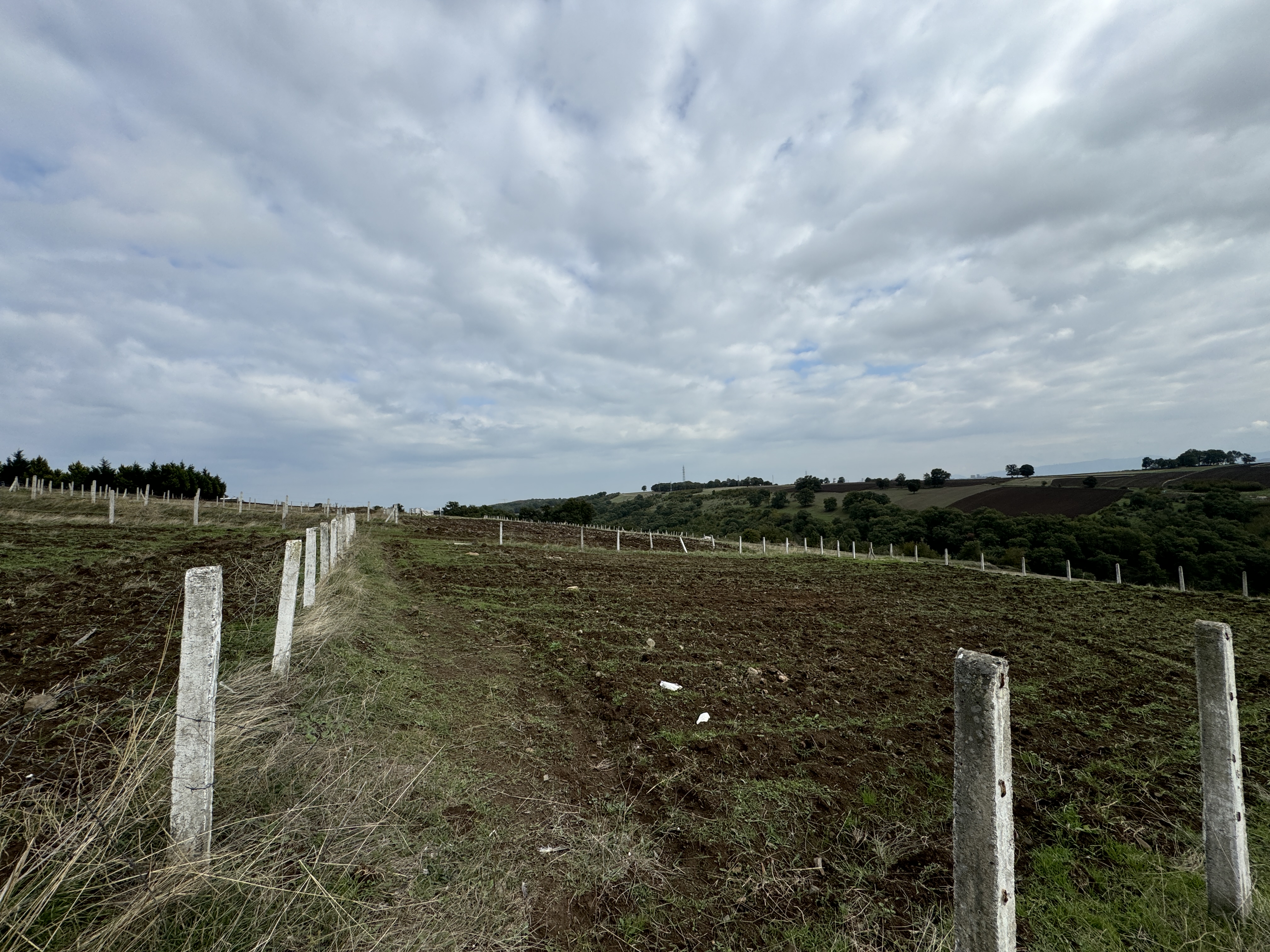 PAMUKLU BULVARINA 250M 5 KATA İMARLI ARSA