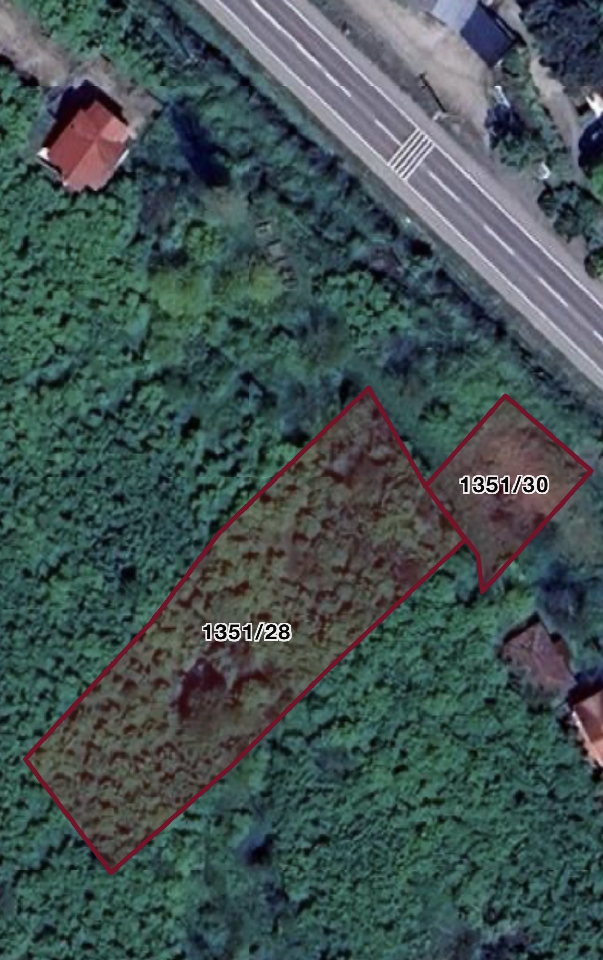 PERŞEMBE ALINCA MAH DENİZ MANZARALI 2,087 M2 FINDIK BAHÇESİ