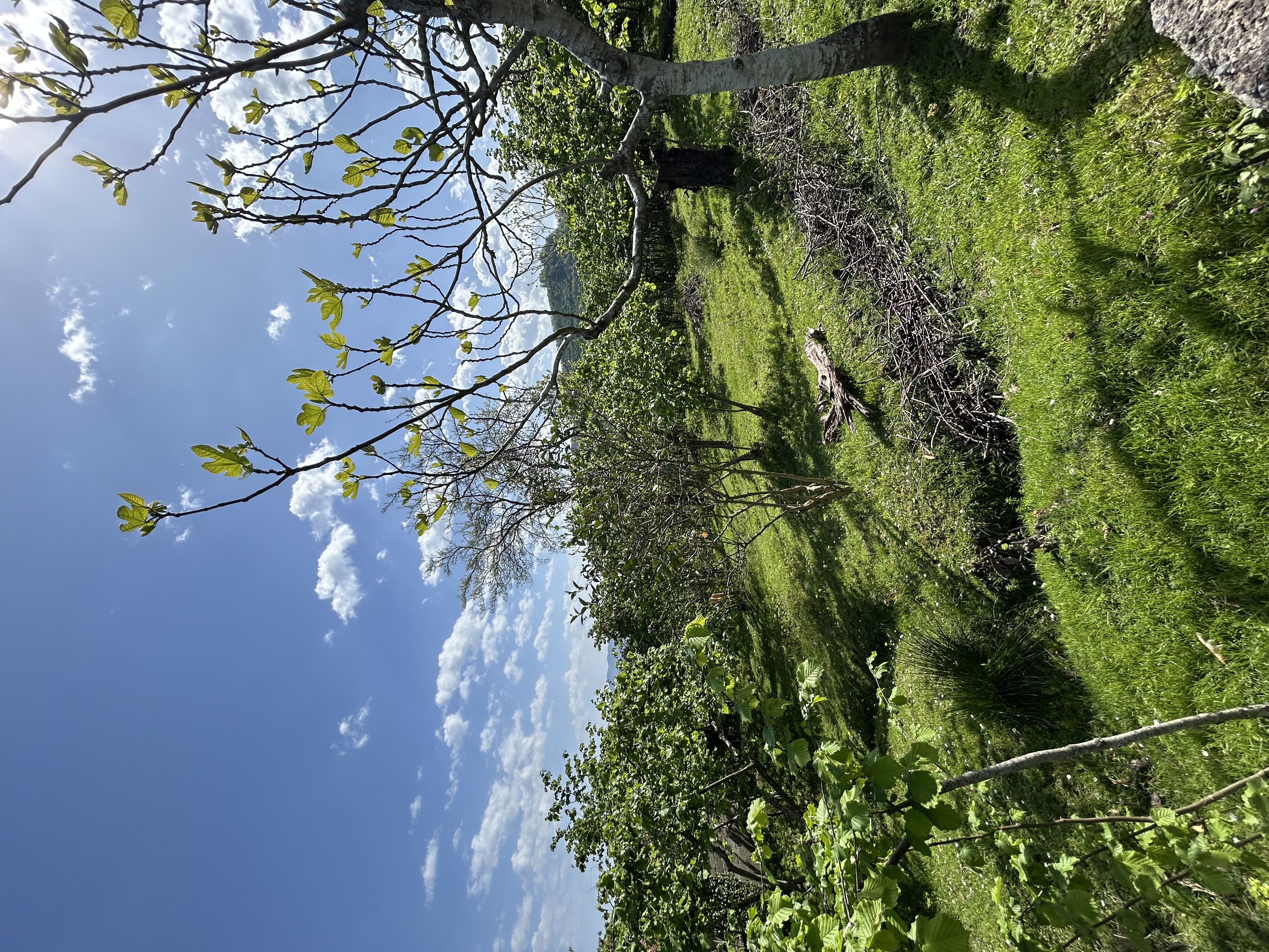 GÜNEYKÖY 359M2 ARSA