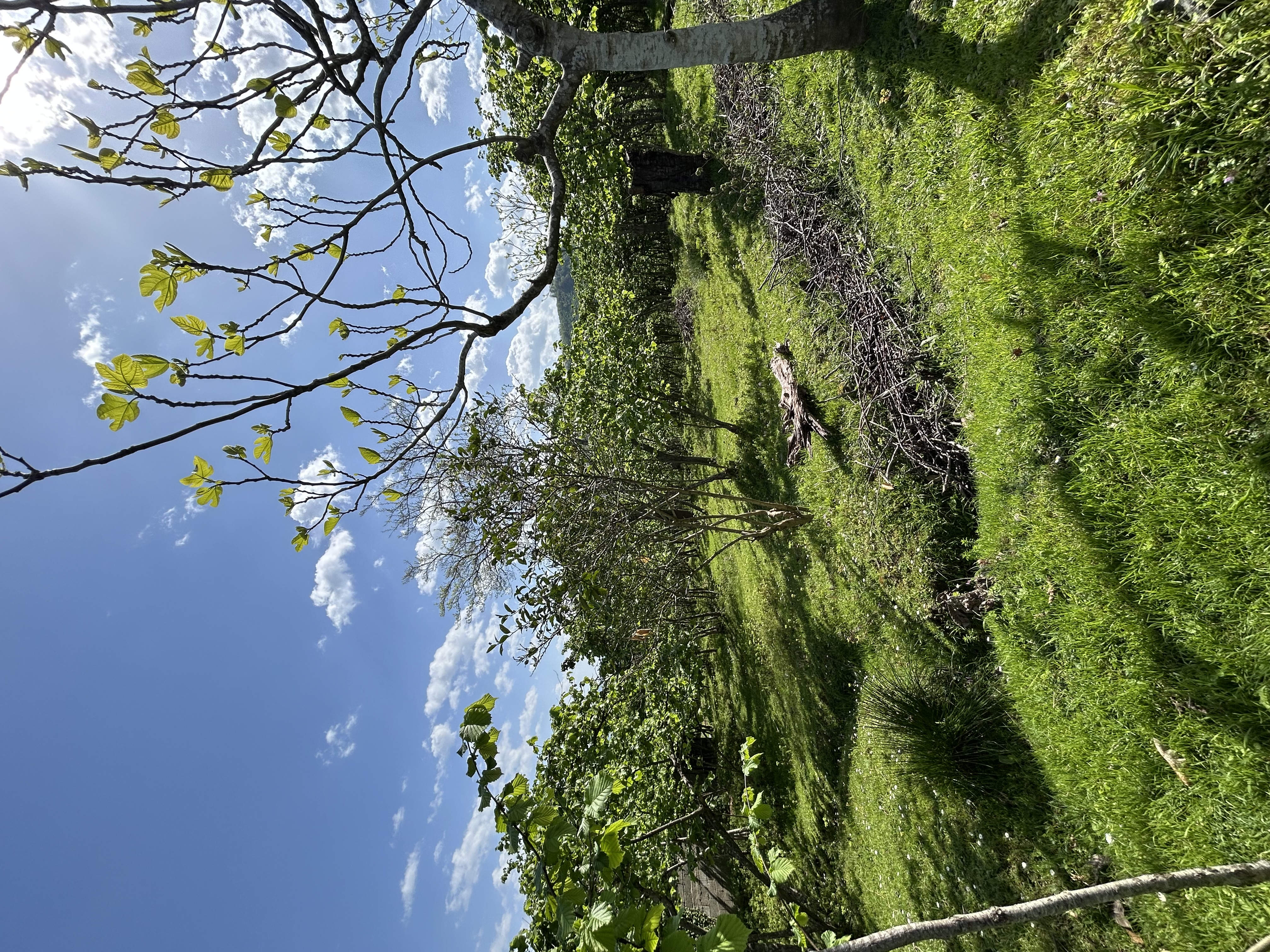 GÜNEYKÖY 359M2 ARSA