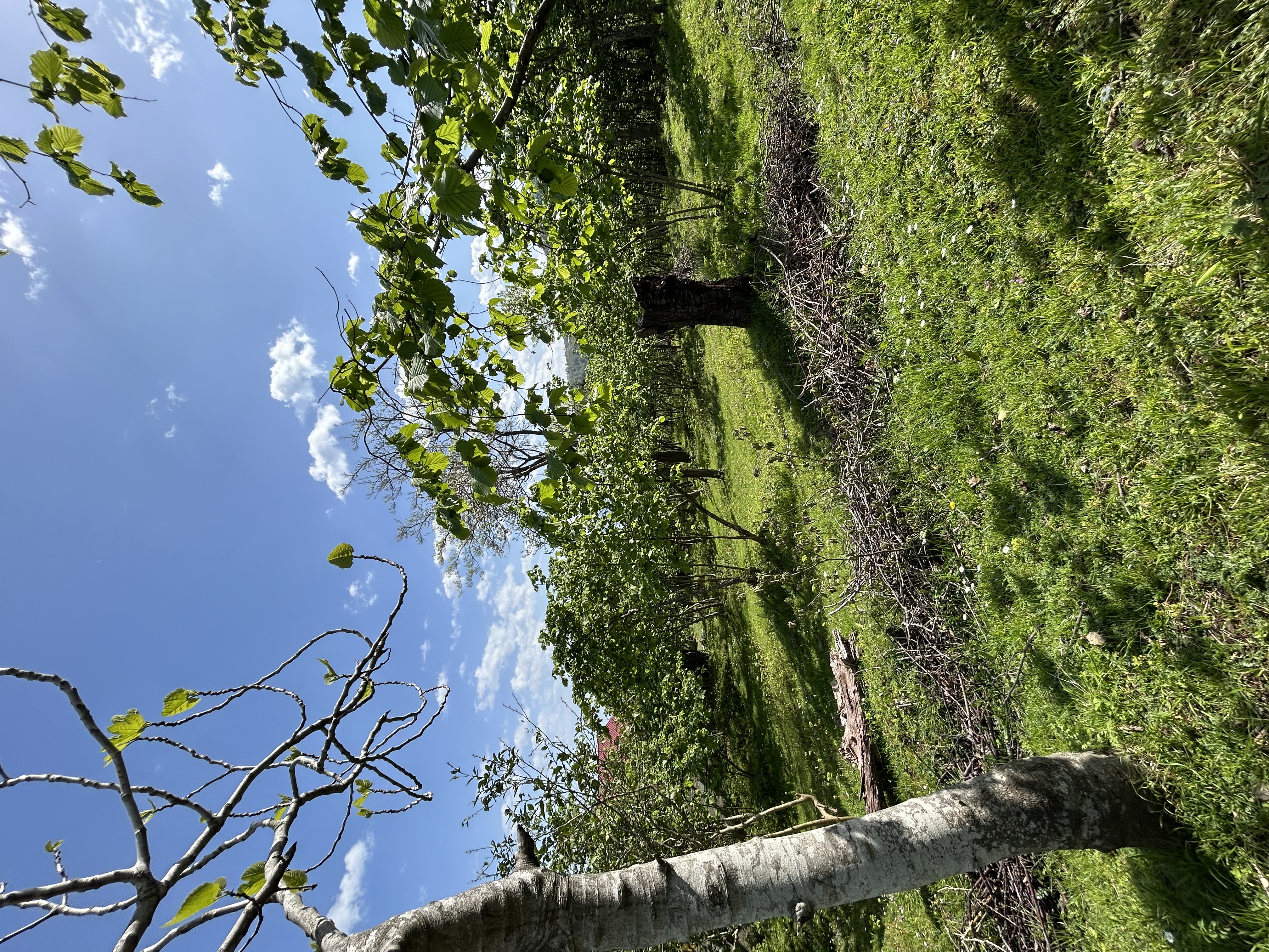 MABEL GAYRİMENKUL KEŞAP GÜNEYKÖYDE DENİZ MANZARALI VİLLALIK ARSA