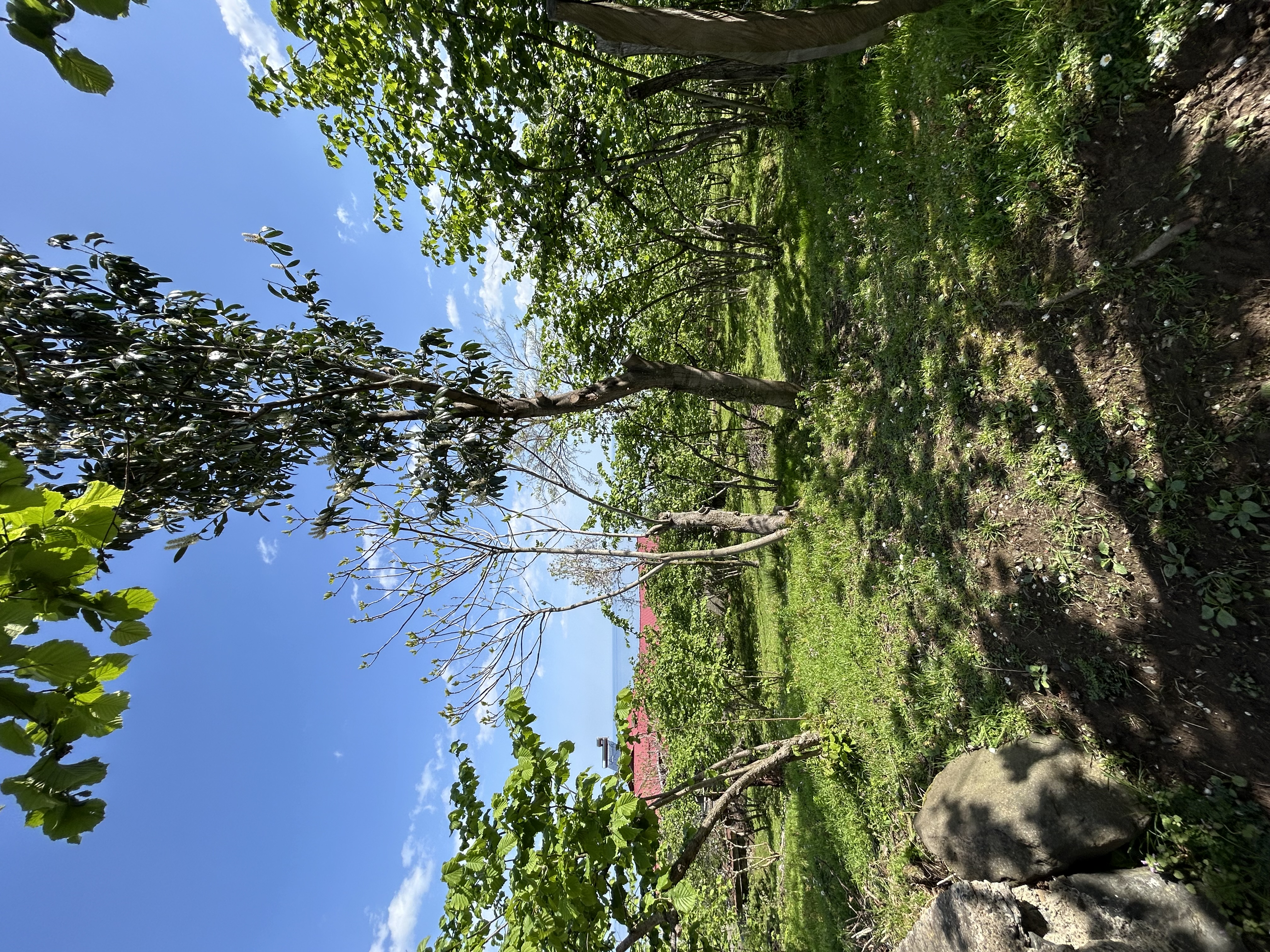 MABEL GAYRİMENKUL KEŞAP GÜNEYKÖYDE DENİZ MANZARALI VİLLALIK ARSA