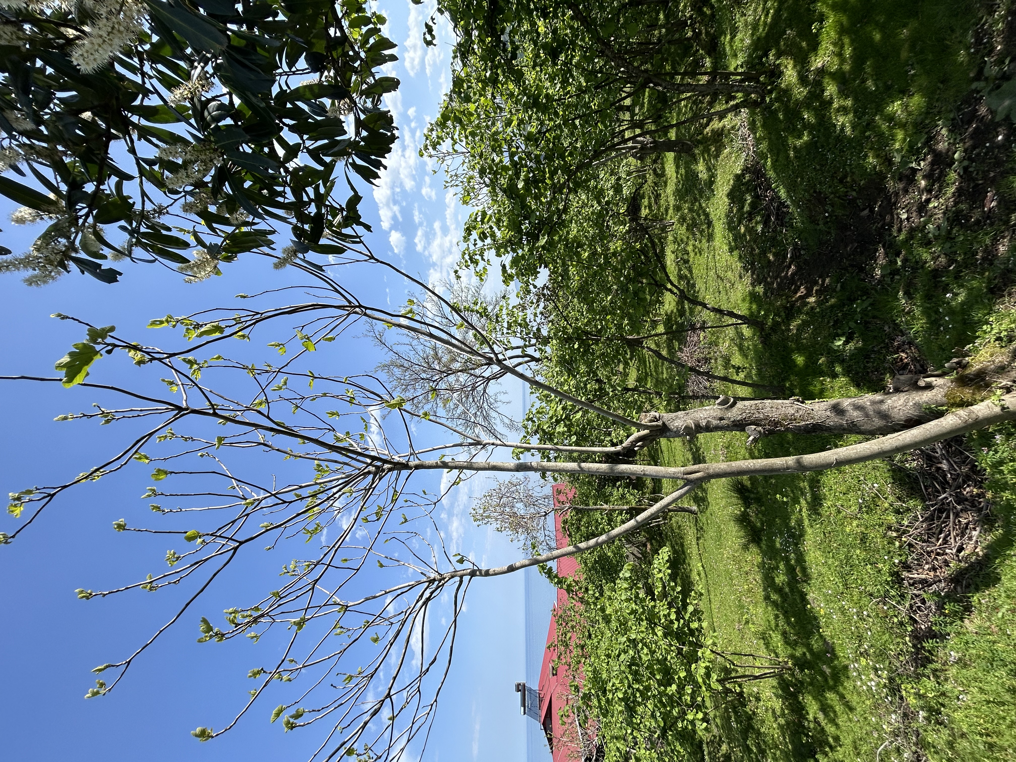 MABEL GAYRİMENKUL KEŞAP GÜNEYKÖYDE DENİZ MANZARALI VİLLALIK ARSA