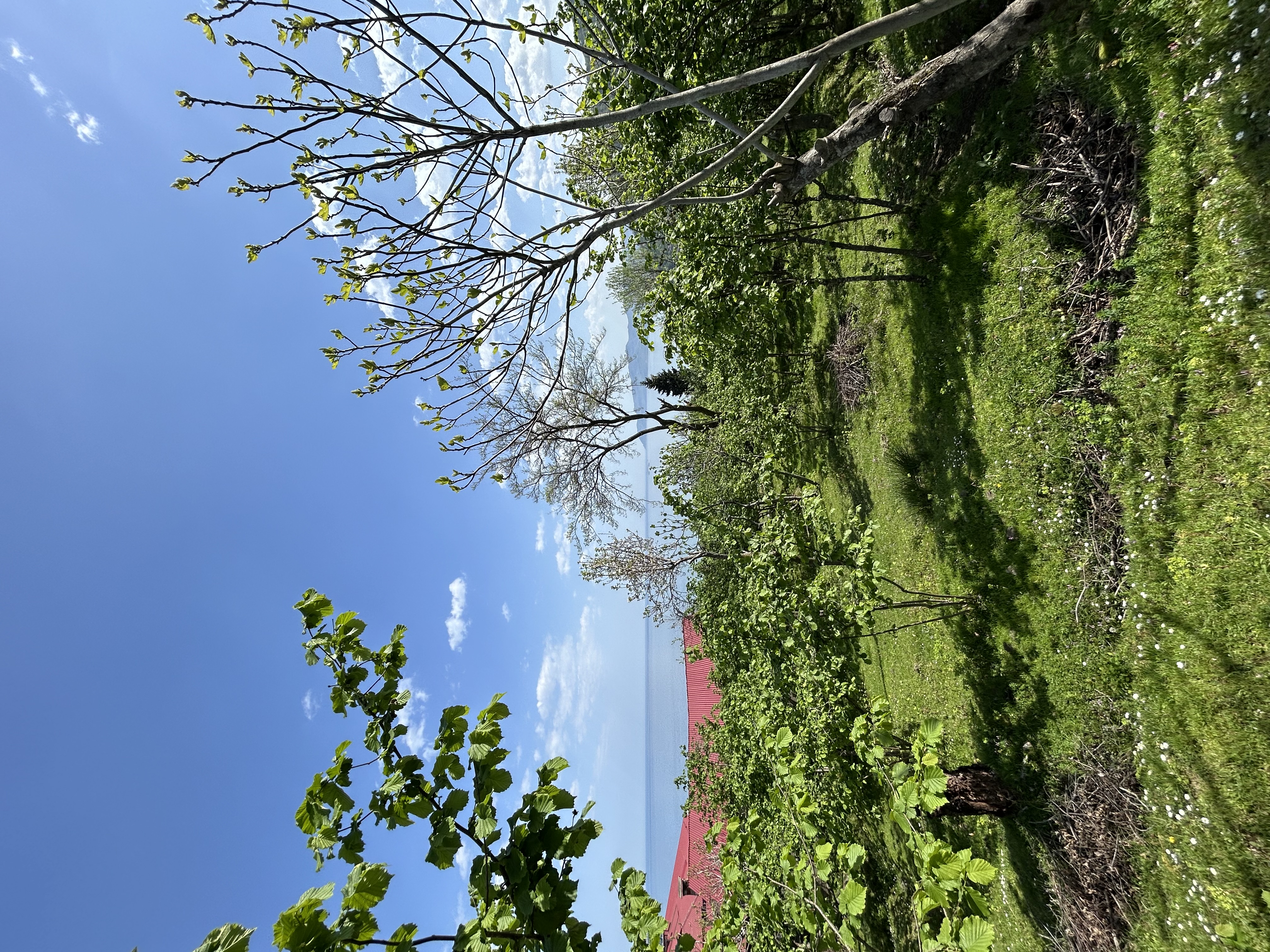 MABEL GAYRİMENKUL KEŞAP GÜNEYKÖYDE DENİZ MANZARALI VİLLALIK ARSA