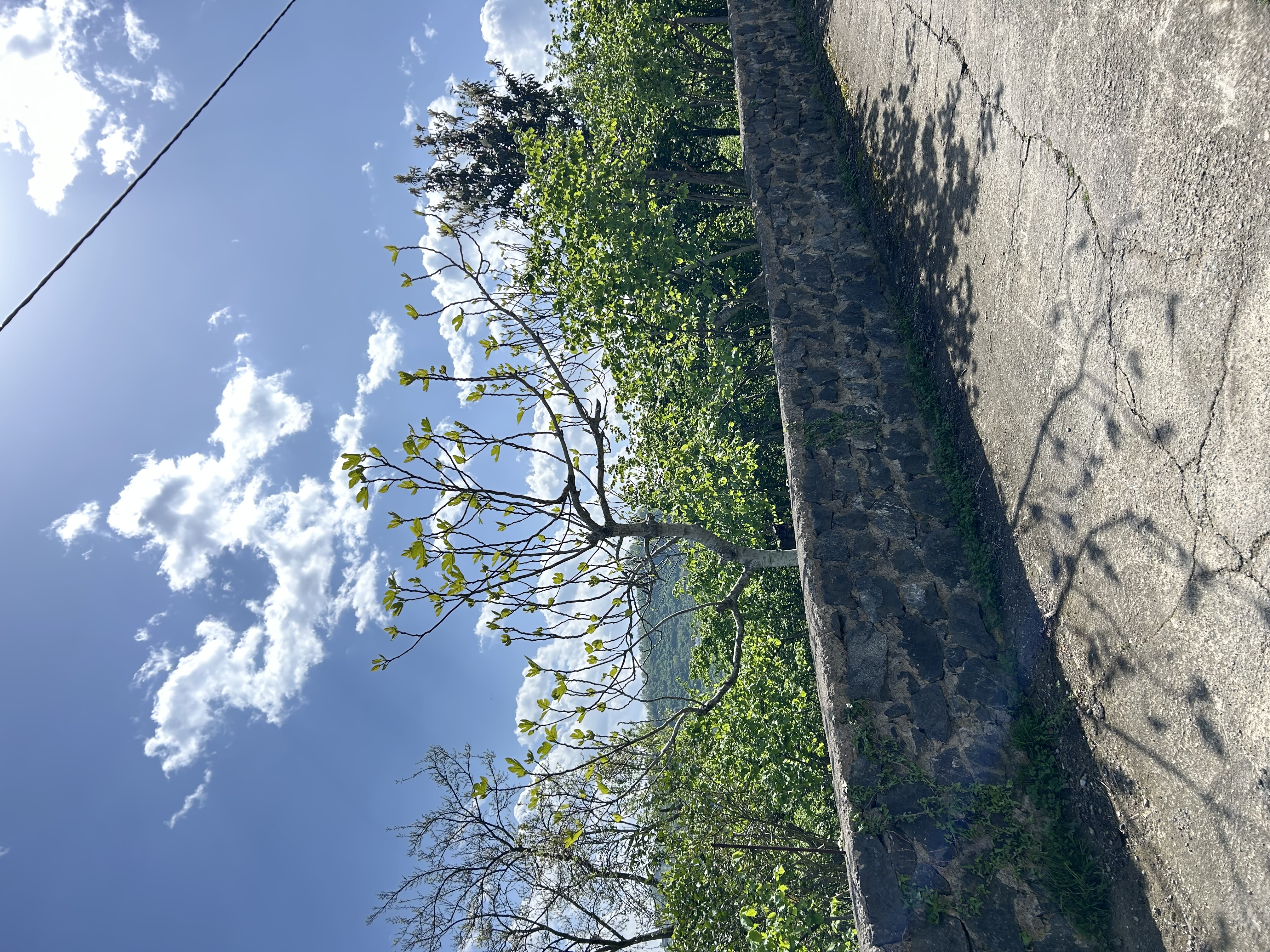 MABEL GAYRİMENKUL KEŞAP GÜNEYKÖYDE DENİZ MANZARALI VİLLALIK ARSA