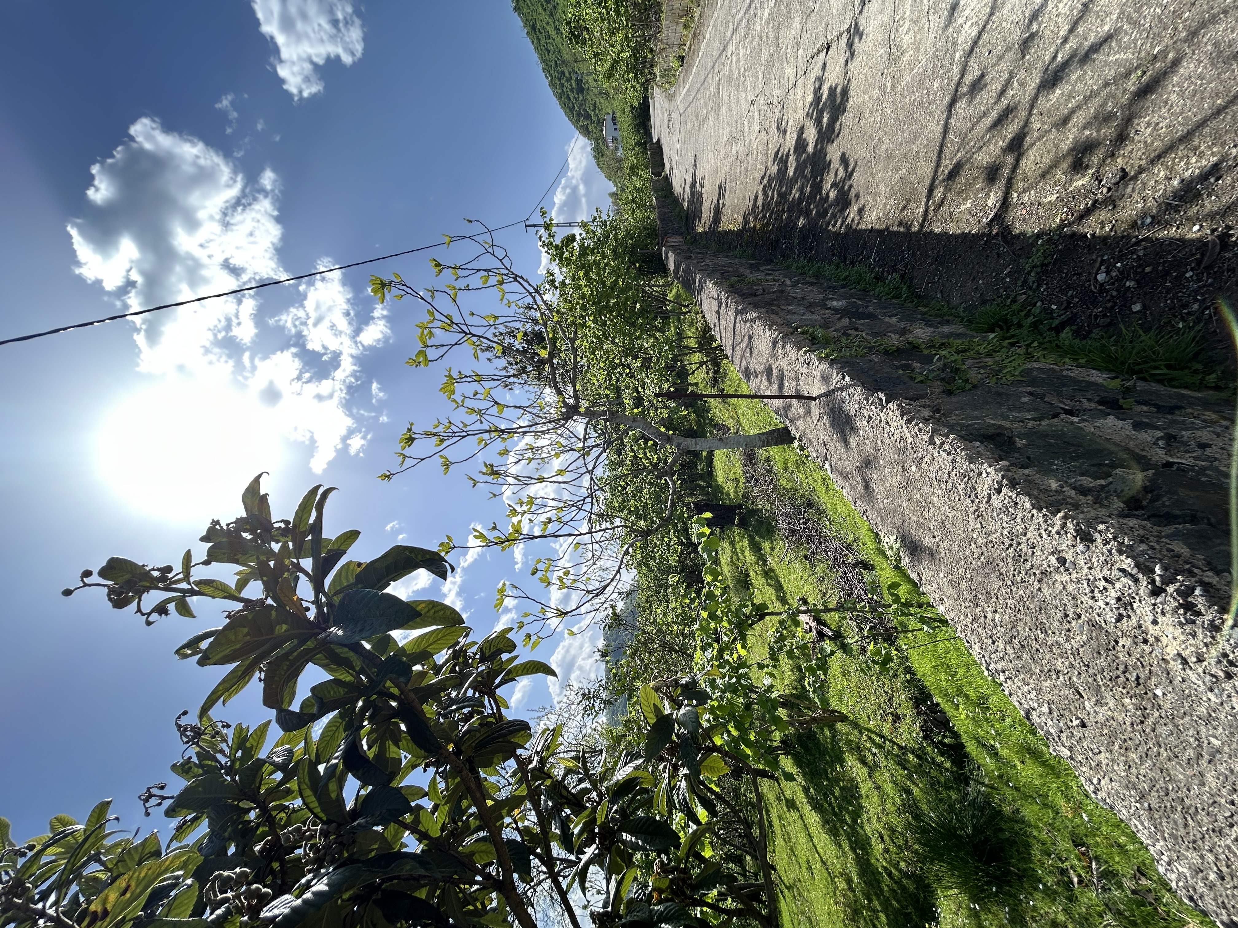 MABEL GAYRİMENKUL KEŞAP GÜNEYKÖYDE DENİZ MANZARALI VİLLALIK ARSA