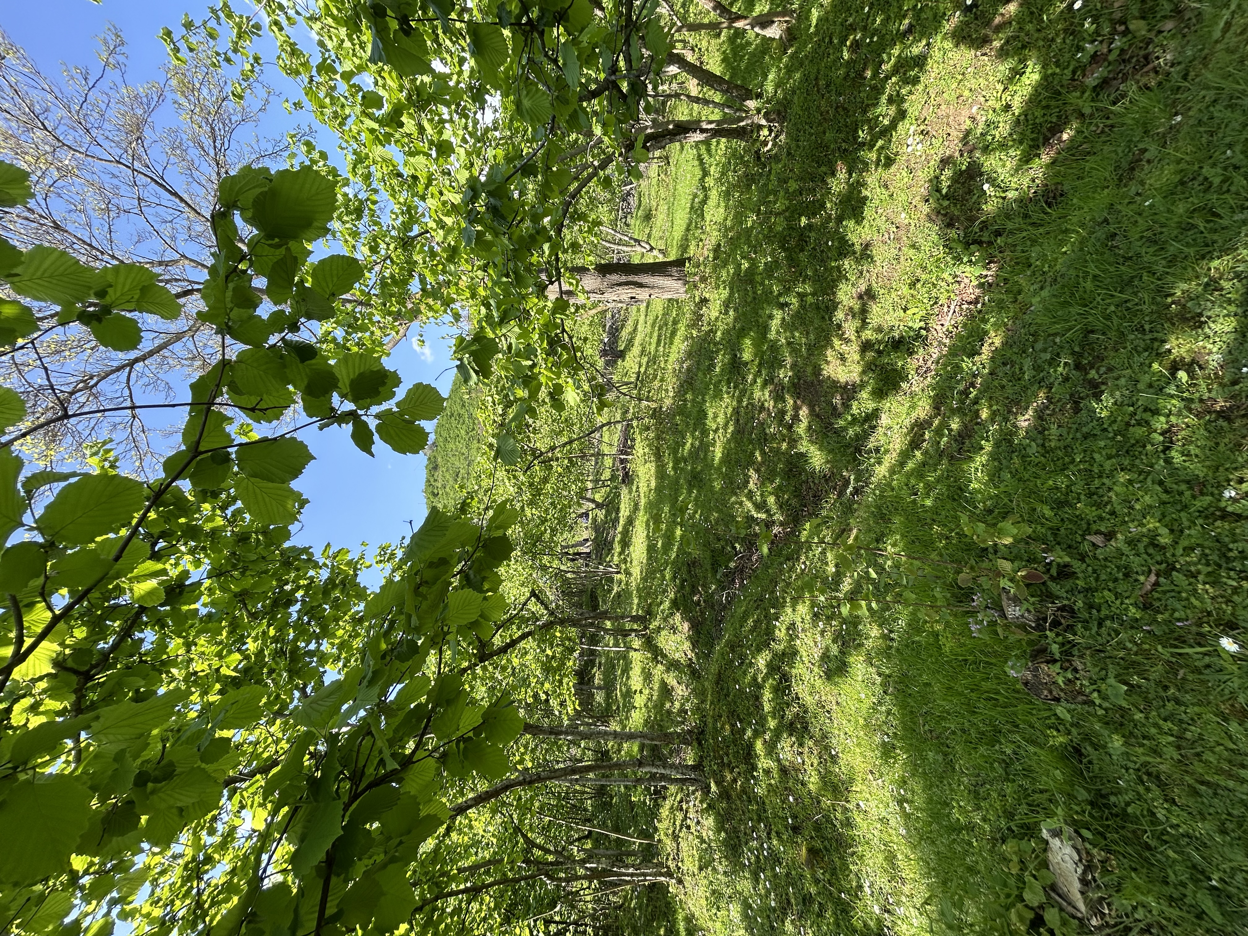 MABEL GAYRİMENKUL KEŞAP GÜNEYKÖYDE DENİZ MANZARALI VİLLALIK ARSA