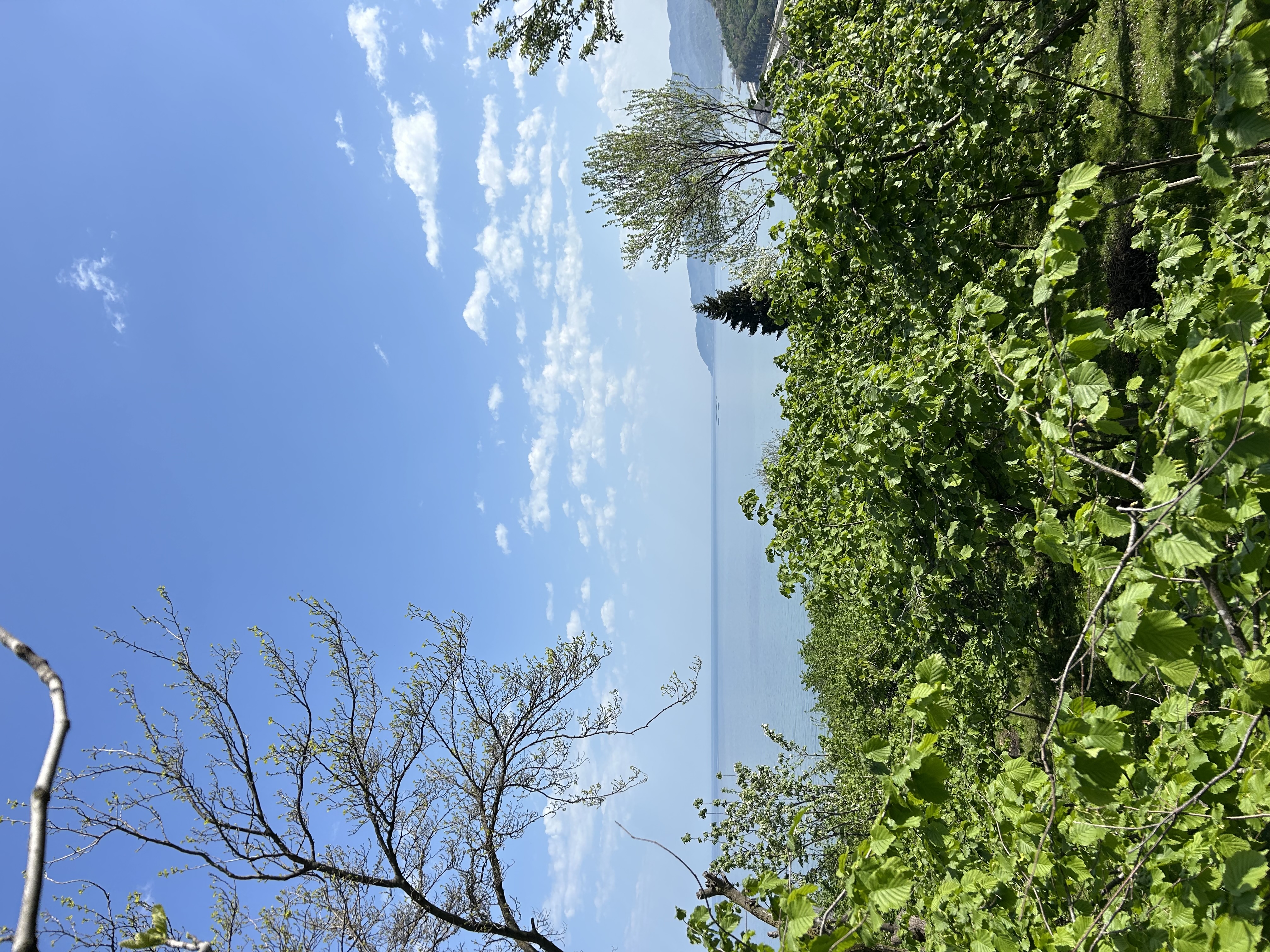 MABEL GAYRİMENKUL KEŞAP GÜNEYKÖYDE DENİZ MANZARALI VİLLALIK ARSA