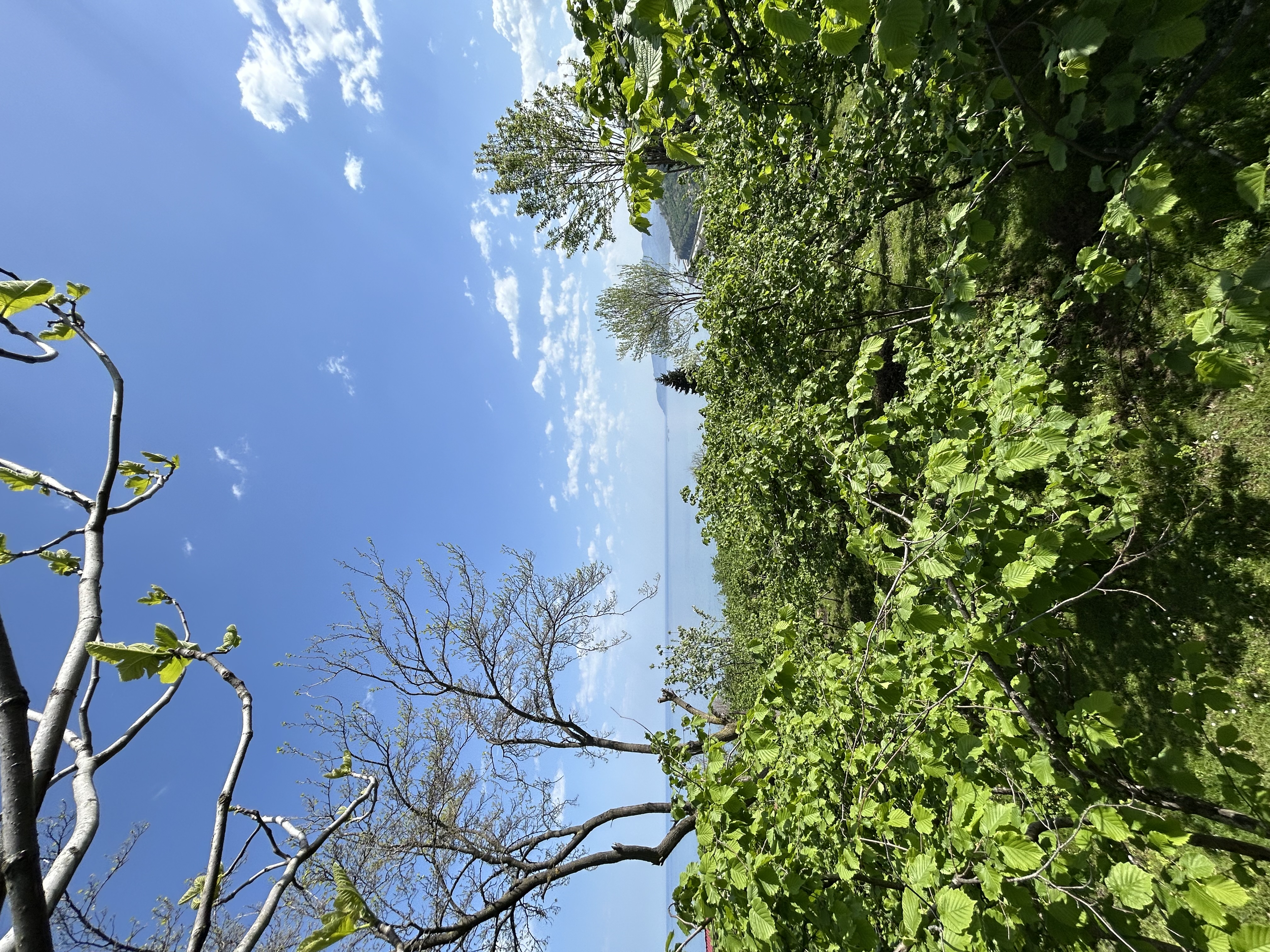 MABEL GAYRİMENKUL KEŞAP GÜNEYKÖYDE DENİZ MANZARALI VİLLALIK ARSA