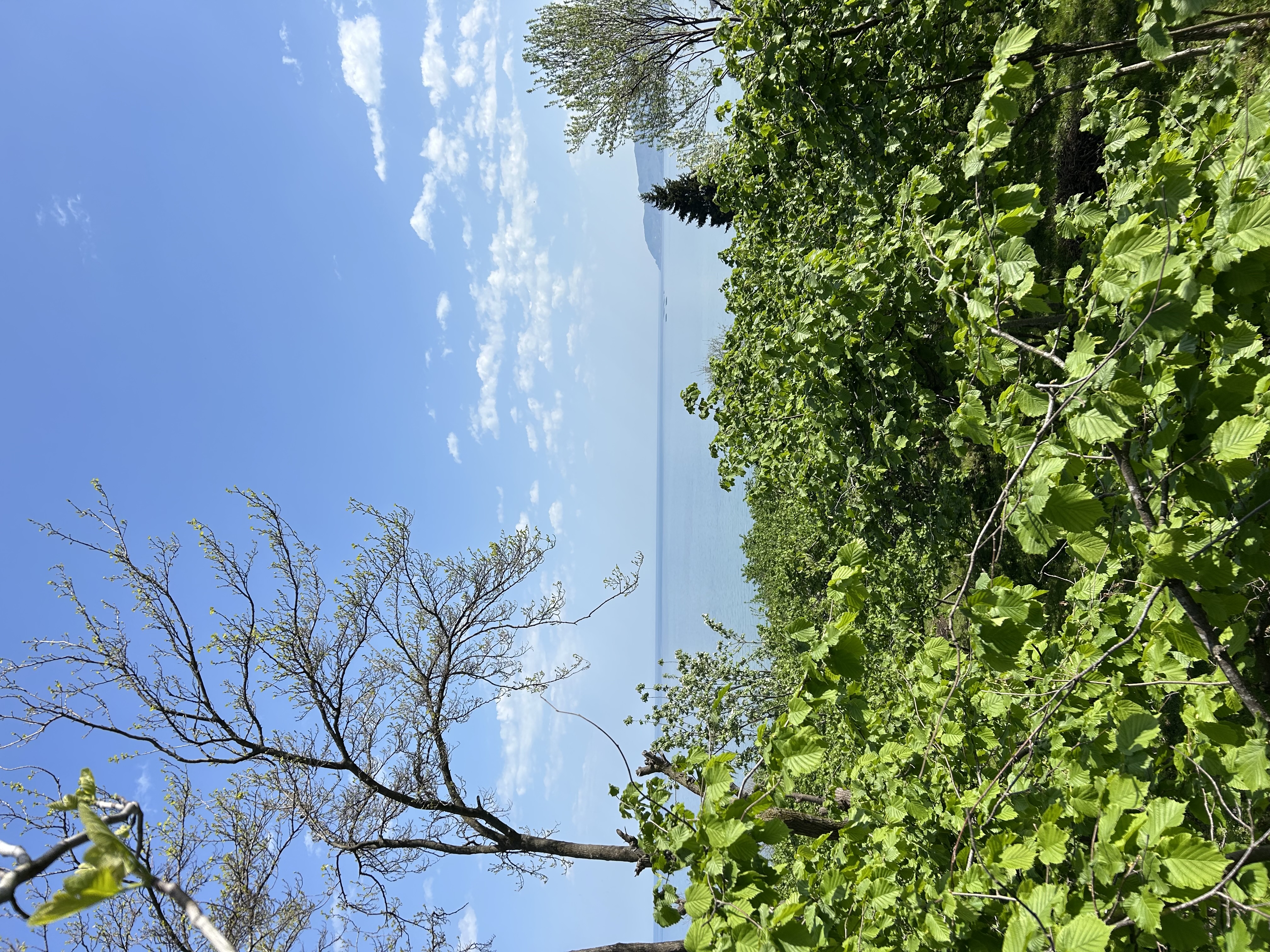 MABEL GAYRİMENKUL KEŞAP GÜNEYKÖYDE DENİZ MANZARALI VİLLALIK ARSA