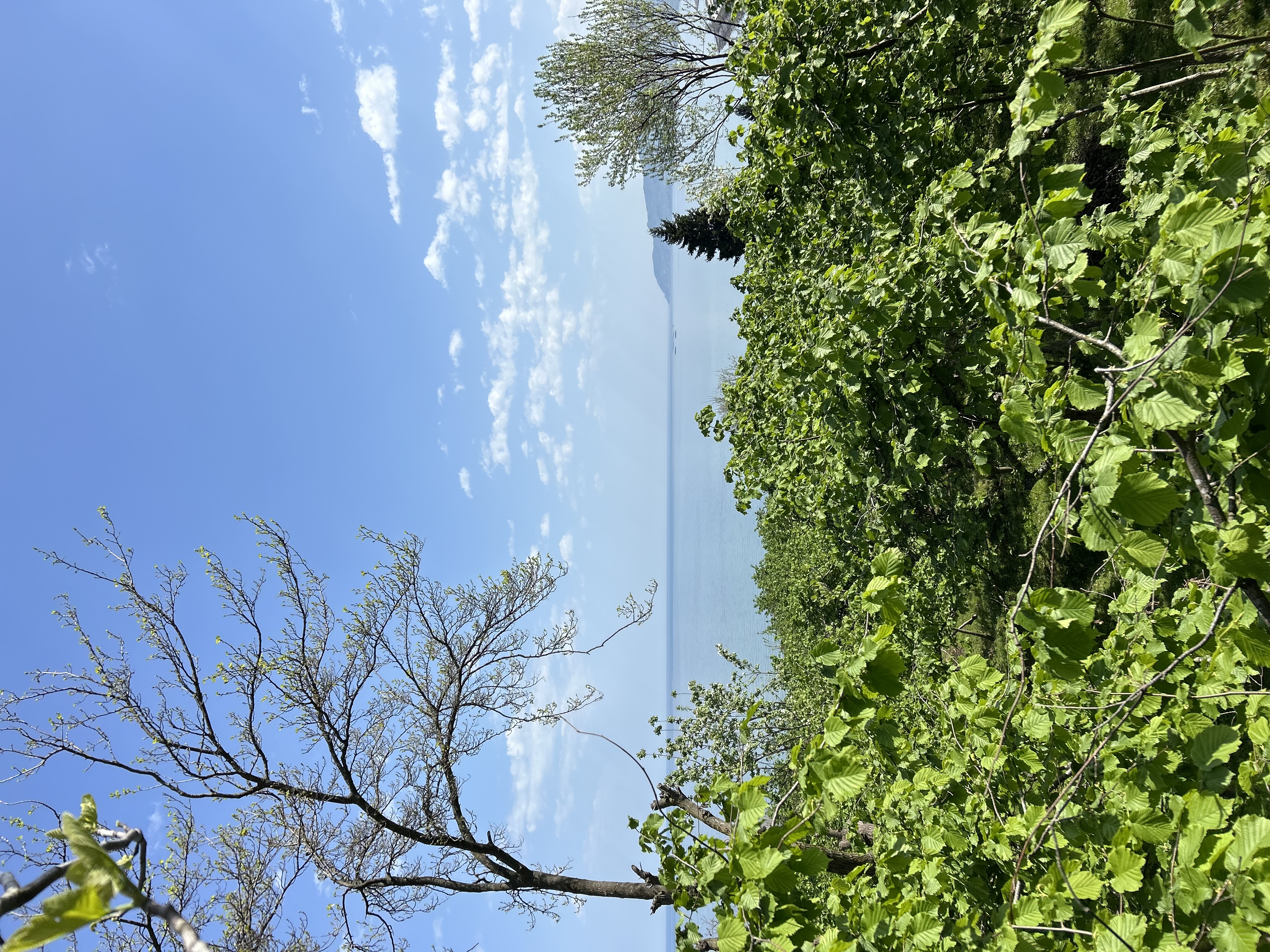 MABEL GAYRİMENKUL KEŞAP GÜNEYKÖYDE DENİZ MANZARALI VİLLALIK ARSA