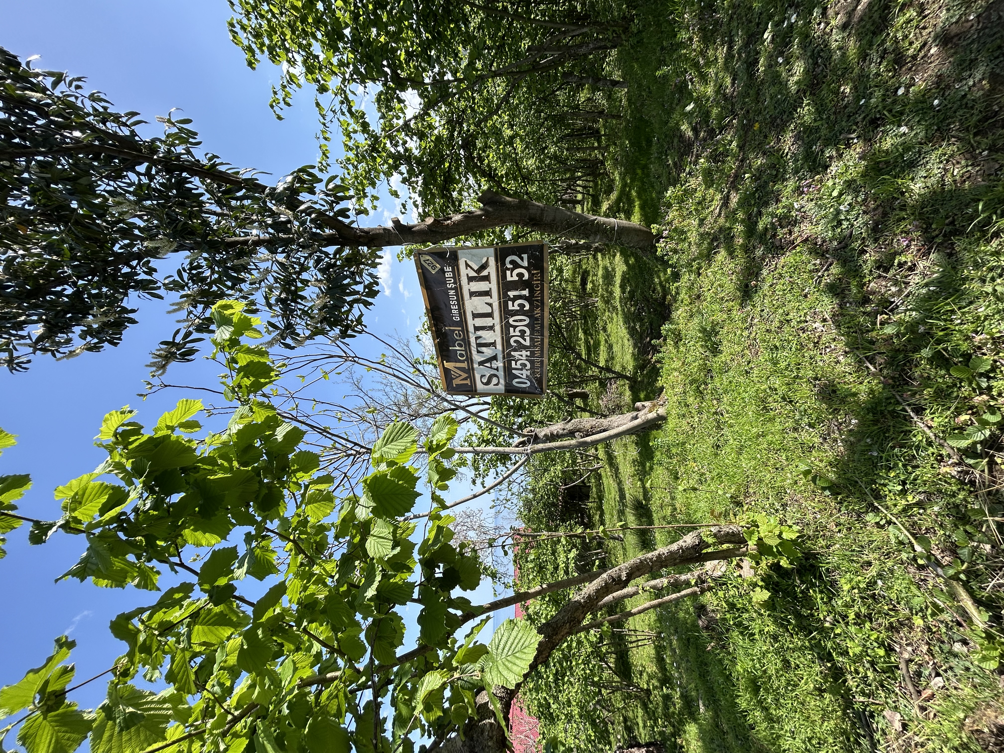 MABEL GAYRİMENKUL KEŞAP GÜNEYKÖYDE DENİZ MANZARALI VİLLALIK ARSA