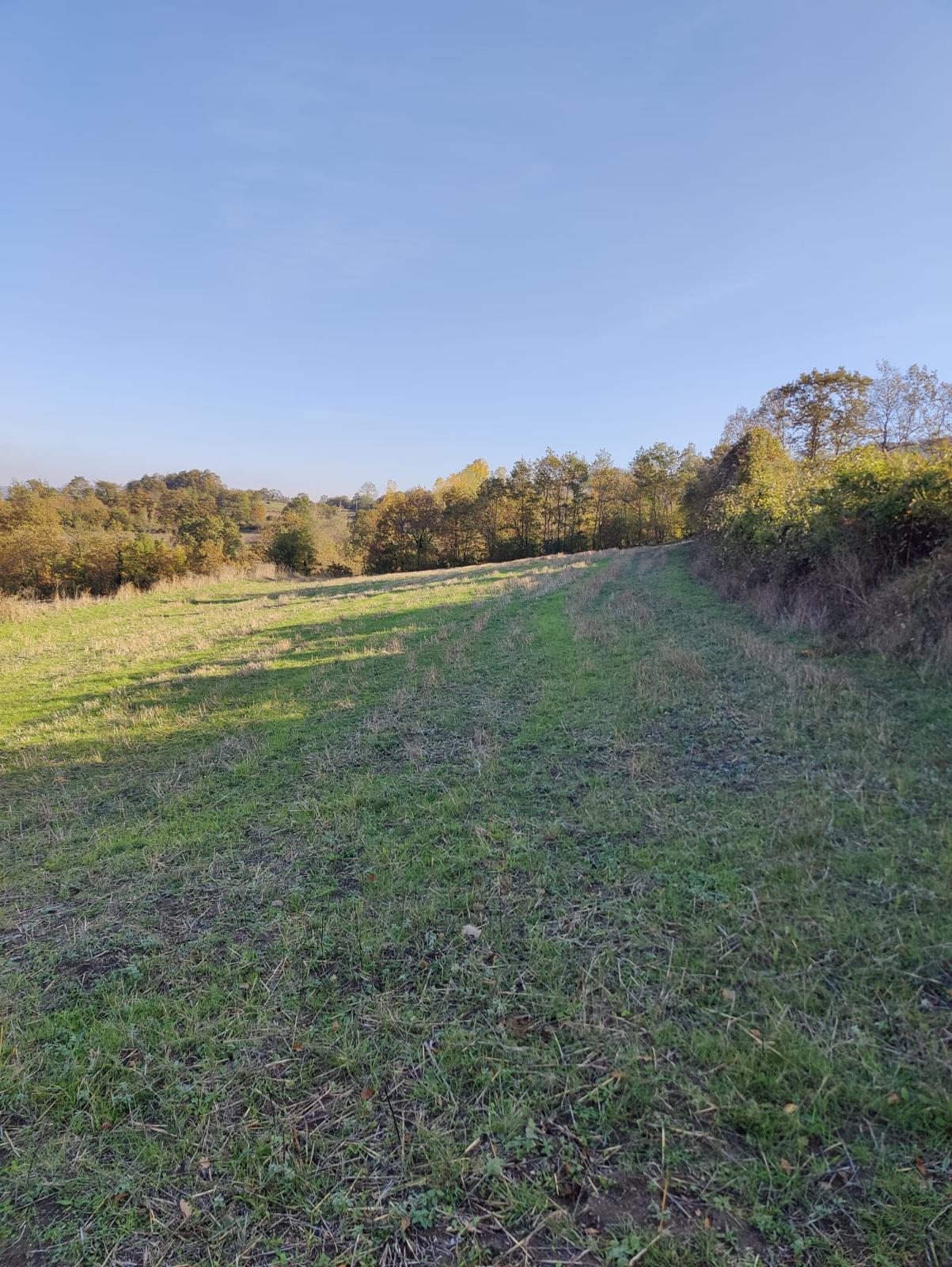 ATAKUM AKALAN'DA DOĞA İLE İÇ İÇE YATIRIMLIK TARLA