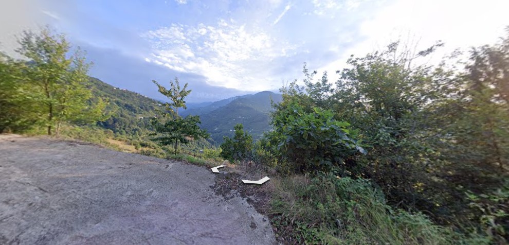 MABEL GAYRİMENKUL'DEN YOMRA DENİZ MANZARALI 15 DÖNÜM FINDIK BAHÇESİ