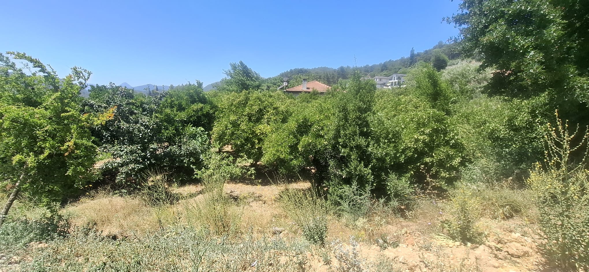 MABELDEN MARMARİS ÇETİBELİNDE SATILIK ARSA