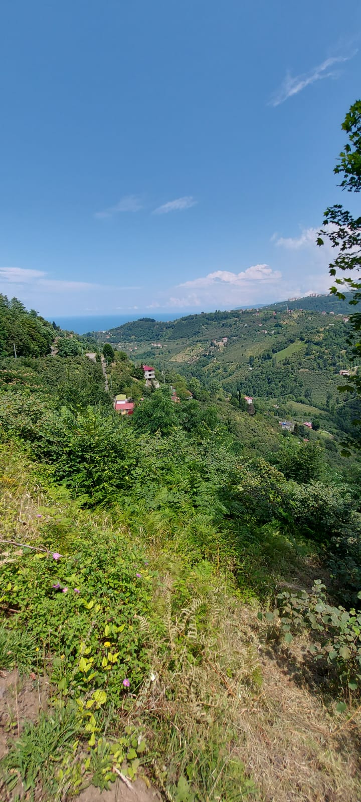 MABEL'DEN FIRSAT KELEPİR BAYIRKÖY 1700 M2 ARAZİ
