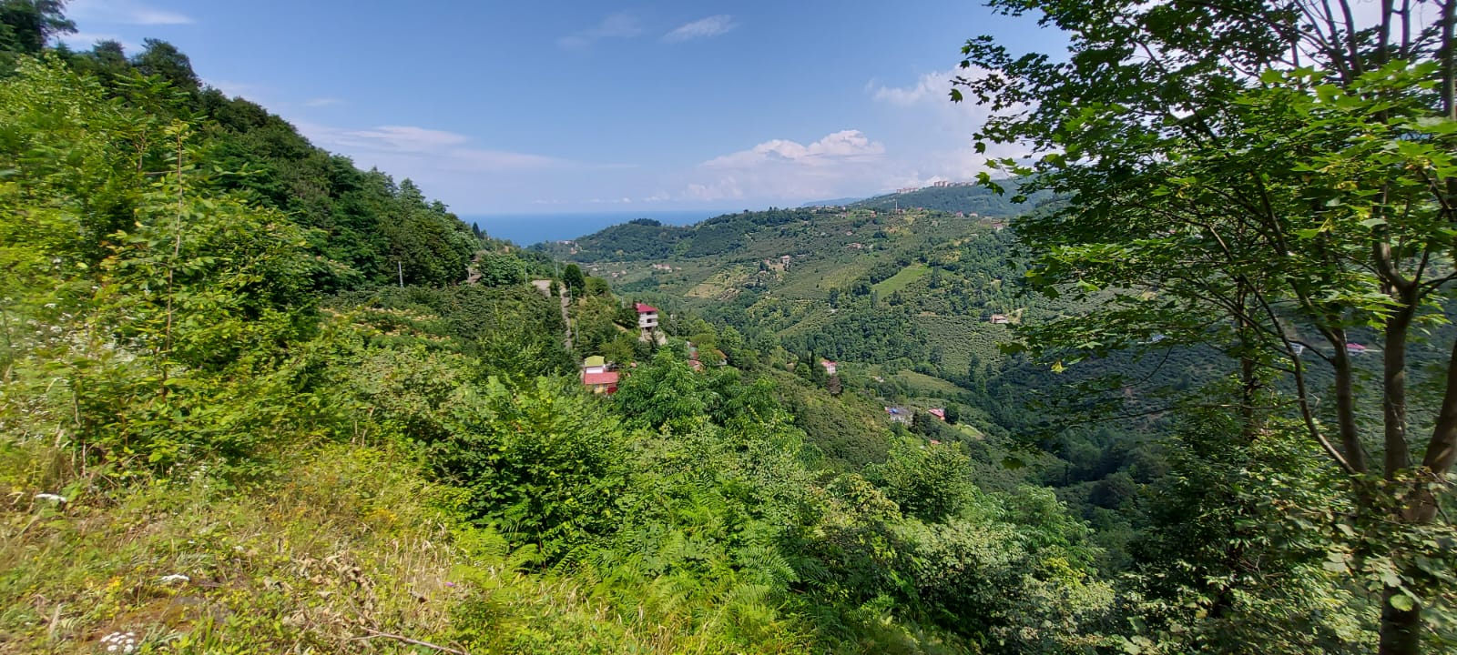 MABEL'DEN FIRSAT KELEPİR BAYIRKÖY 1700 M2 ARAZİ