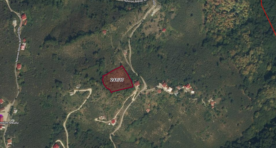 BEŞİKDÜZÜ AĞAÇLI DA SATILIK 4836 M2 FINDIK BAHÇESİ