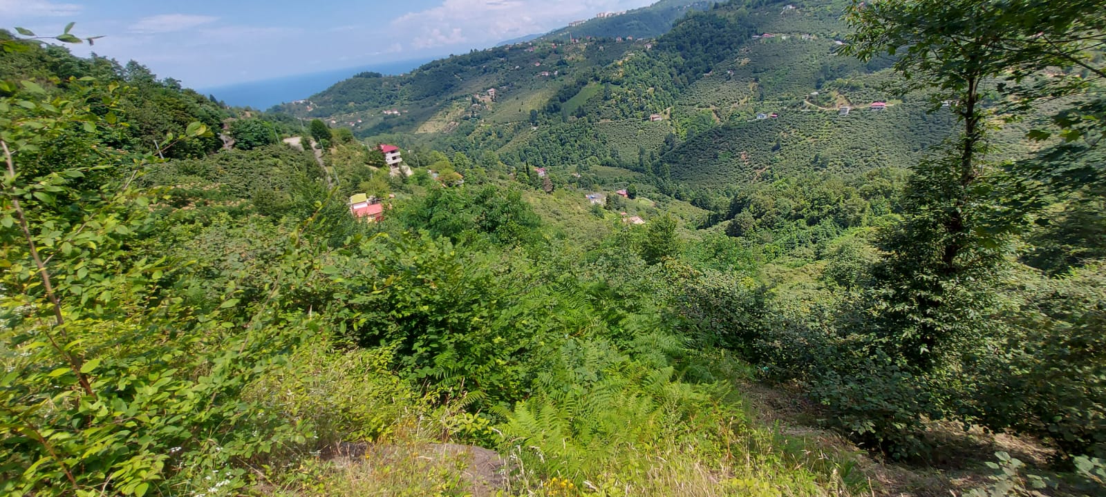 MABEL'DEN FIRSAT KELEPİR BAYIRKÖY 1700 M2 ARAZİ