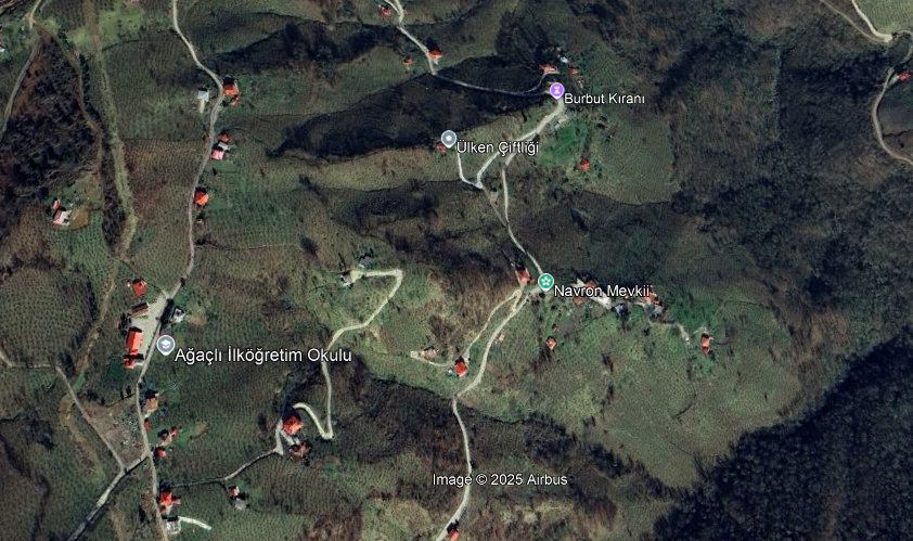 BEŞİKDÜZÜ AĞAÇLI DA SATILIK 4836 M2 FINDIK BAHÇESİ