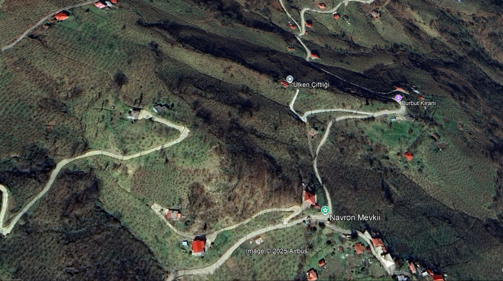 BEŞİKDÜZÜ AĞAÇLI DA SATILIK 4836 M2 FINDIK BAHÇESİ