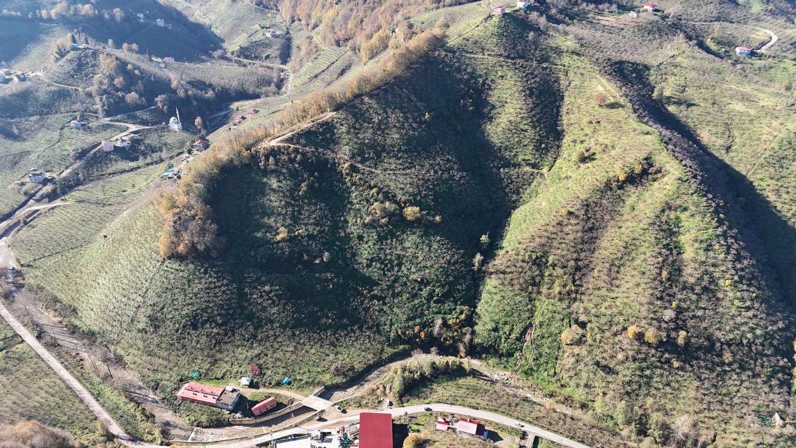 MABEL'DEN-ARİFLİ MAHALLESİ SATILIK FIRSAT FINDIK BAHÇESİ