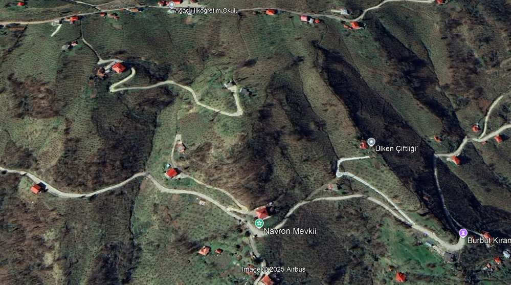 BEŞİKDÜZÜ AĞAÇLI DA SATILIK 4836 M2 FINDIK BAHÇESİ