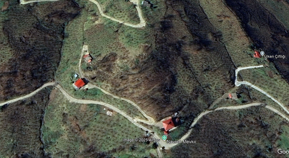 BEŞİKDÜZÜ AĞAÇLI DA SATILIK 4836 M2 FINDIK BAHÇESİ