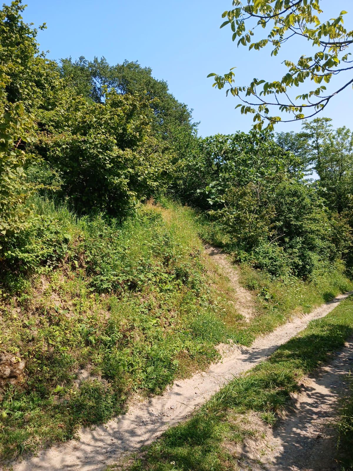 KIŞLA ÖNÜ LİMANI YUKARISINDA BAHÇE