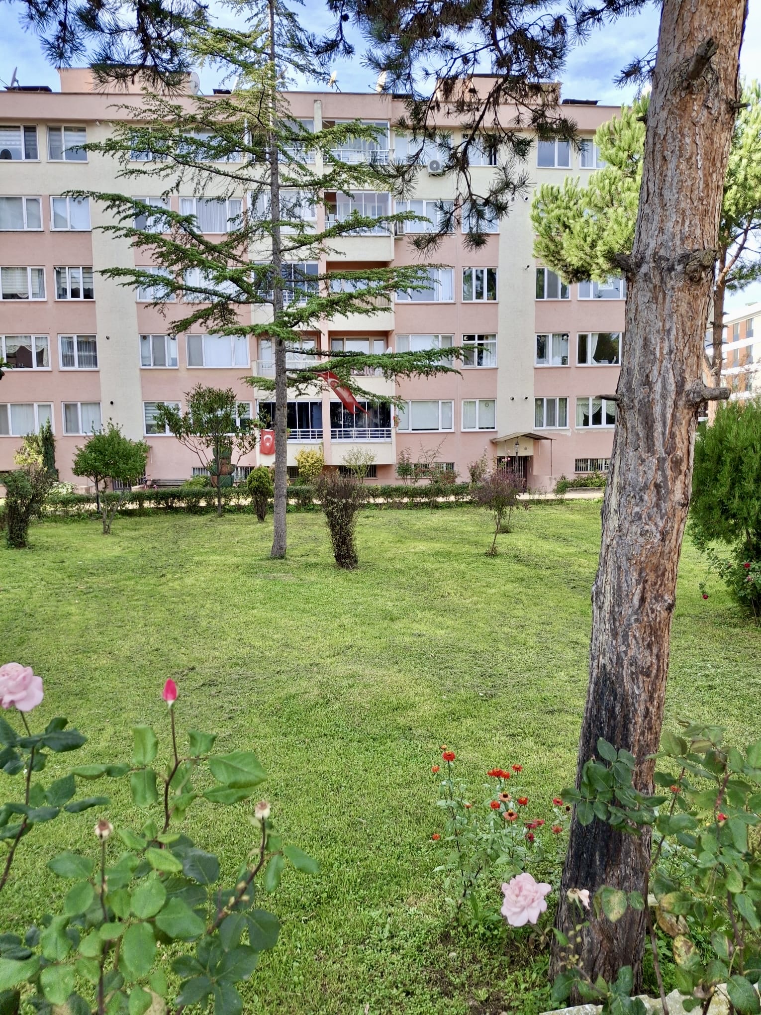 AKYAZI ORKENT SATILIK