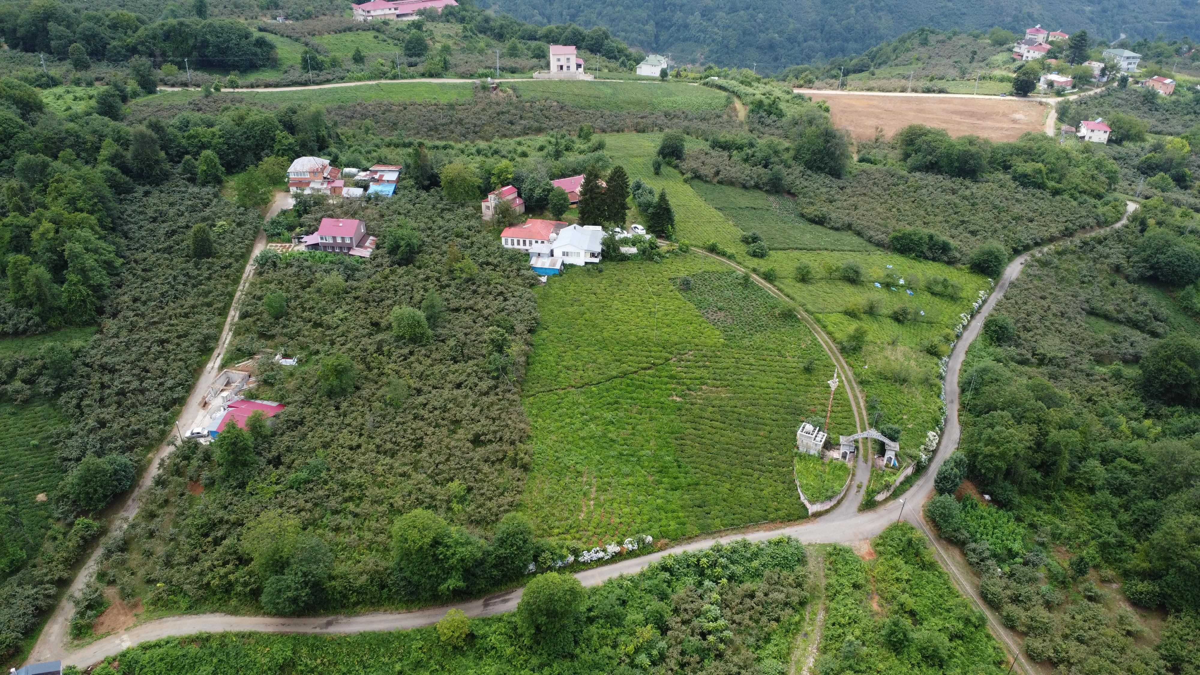 MABELDEN TRABZON BEŞİKDÜZÜNDE SATILIK FIRSAT ARSA