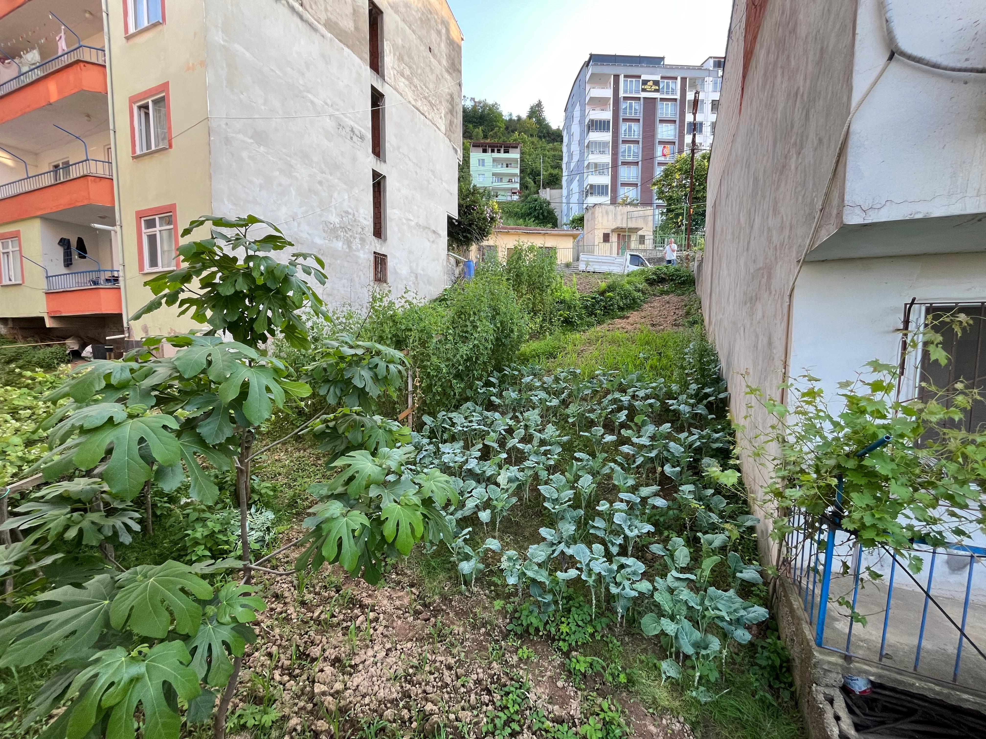 GİRESUN TEYYAREDÜZÜ MAH. YATIRIMCIYA FIRSAT İMARLI PARSEL ARSA