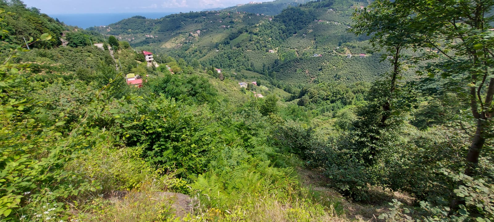 MABEL'DEN FIRSAT KELEPİR BAYIRKÖY 1700 M2 ARAZİ