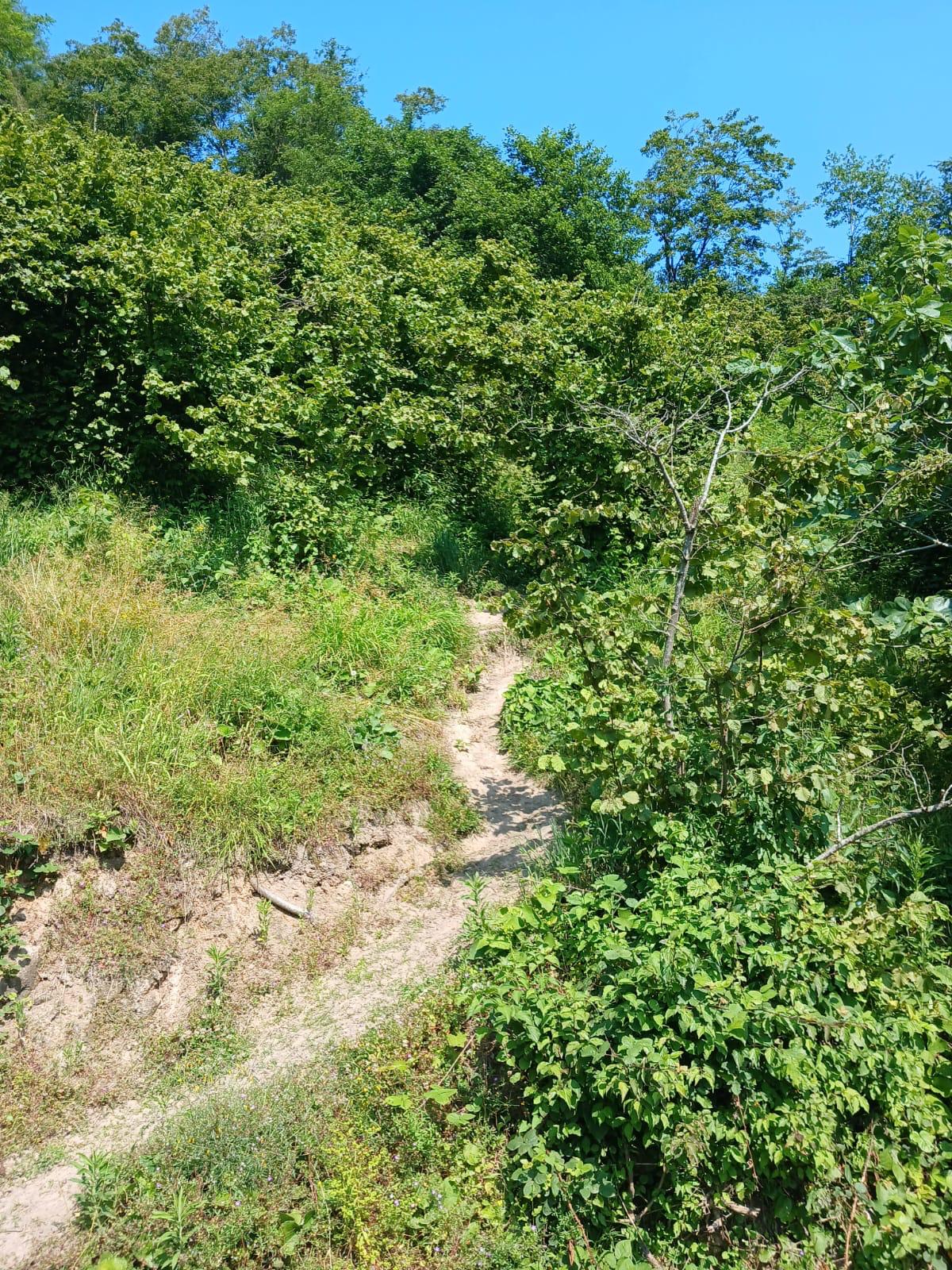 KIŞLA ÖNÜ LİMANI YUKARISINDA BAHÇE