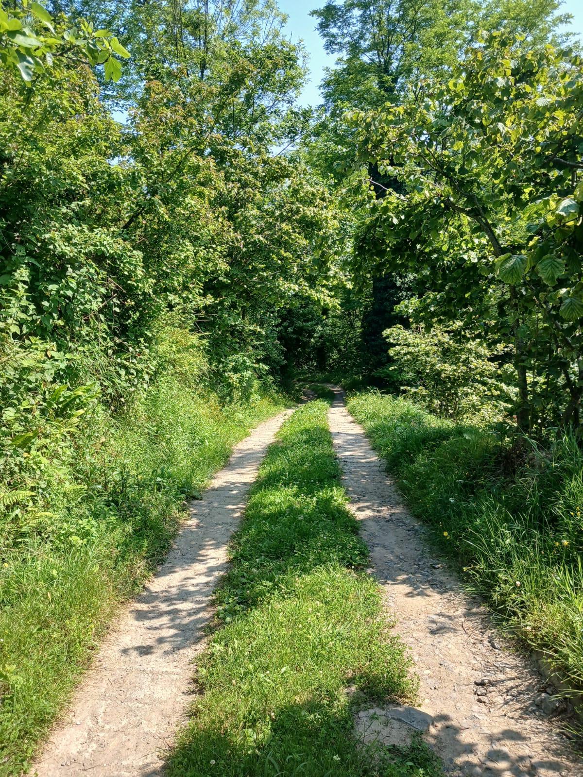 KIŞLA ÖNÜ LİMANI YUKARISINDA BAHÇE