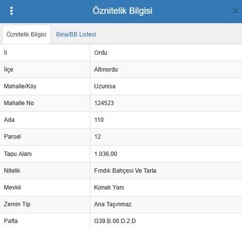 UZUNİSA FIRSAT FİYAT SATILIK FINDIK BAHÇESİ