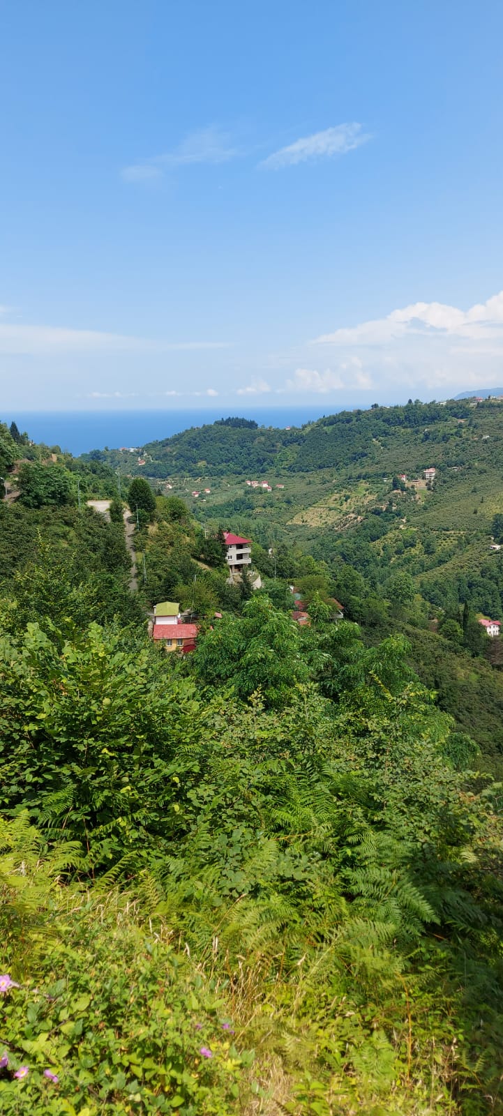 MABEL'DEN FIRSAT KELEPİR BAYIRKÖY 1700 M2 ARAZİ
